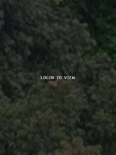 Saved — Christianity Matrimony Profile Photo