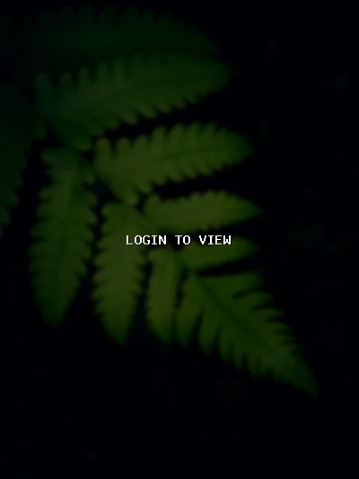 S — Hindu Matrimony Profile Photo