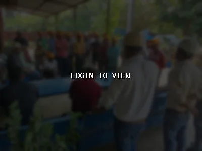 Raj — Hindu Matrimony Profile Photo